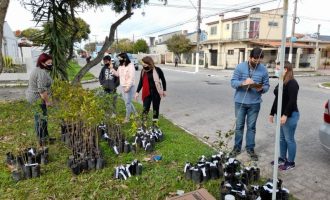 Projeto Ciclo Verde encerra com distribuição de 131 mudas no Umuharama