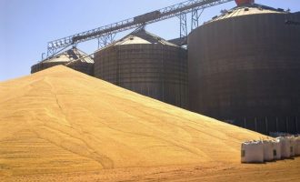 CREA-RS fiscaliza silos de armazenamento de grãos