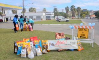 Drive Thru solidário de ração animal é neste domingo