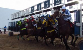 Jockey Club tem corridas no domingo com portões abertos