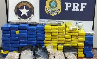 PRF e Receita Federal prendem traficante com mais de 100 quilos de MDMA, skunk e maconha