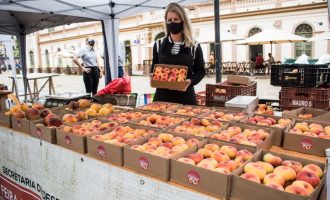 Começa a 8ª Quinzena do Pêssego de Pelotas