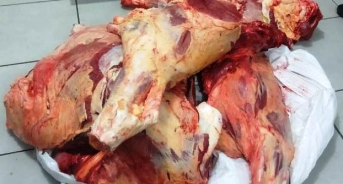 ABIGEATO : Apreensão de 150 kg de carne em Pelotas