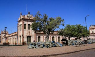 NATAL :  Centro de Pelotas começa a ser decorado