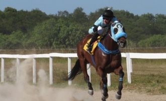 RECORDISTA NA TABLADA :   Pit Stop derruba marca dos 1.400 metros e confirma que voltou para fazer história em Pelotas