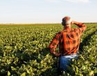 Inadimplência no agronegócio chega a 8,8% no primeiro trimestre de 2026, segundo dados inéditos da Serasa