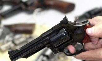 Proprietários de armas de fogo têm 60 dias para fazer cadastro