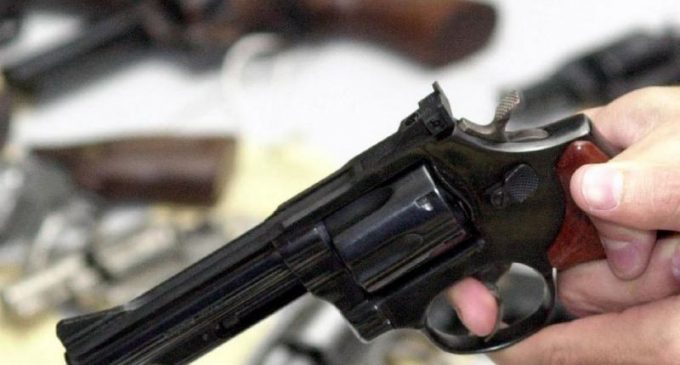 Proprietários de armas de fogo têm 60 dias para fazer cadastro