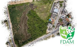 MEIO AMBIENTE : Mais de 60 espécies de aves  habitam no banhado urbano próximo ao BIG em Pelotas
