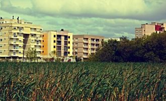 Prefeitura, UFPel e IFSul lançam o Pelotas Global e Copsul nesta semana