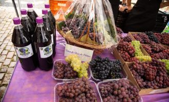 Feira de Uvas de Pelotas registra mais de 2,5 toneladas de vendas