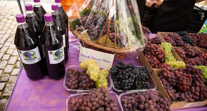 Feira de Uvas de Pelotas registra mais de 2,5 toneladas de vendas