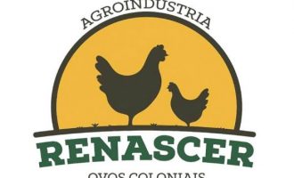 Agroindústria de ovos recebe registro estadual