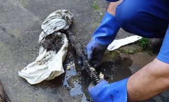 Saiba por que resíduos não devem ser descartados no esgoto