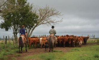 Trabalho da  UFPel registrado como Patrimônio Imaterial Brasileiro