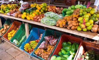 Atividades da 18ª Semana do Alimento Orgânico vão até o dia 05 de junho