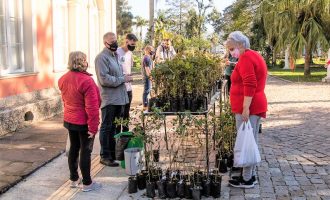Semana do Meio Ambiente prossegue em Pelotas