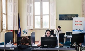 Prefeitura começa cadastro para castrações de animais