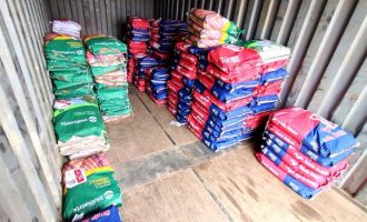 Município recebe as sementes de milho do programa Troca-troca