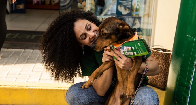 Evento de adoção animal encontra 5 novos lares para cãezinhos do Canil Municipal