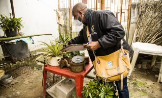 Pelotas registra aumento de focos e de casos de dengue