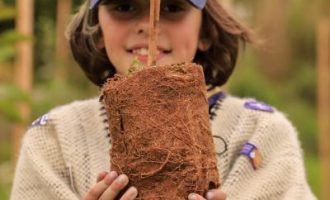 Doação de quase 4 mil mudas marca a semana da árvore em Pelotas
