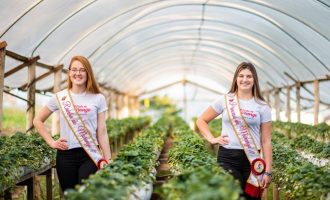 Corte do Morango apresentará a Festa Municipal na Expofeira