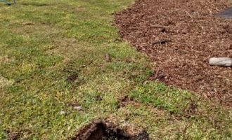 Microparque na Bom Jesus é alvo de vandalismo no fim de semana