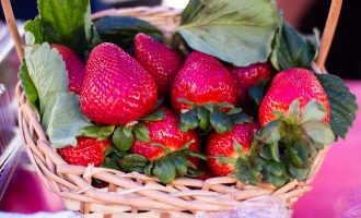 Saiba como chegar e o que vai encontrar na Festa do Morango