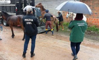 POLÍCIA CIVIL : Homem é autuado por  crime de maus tratos