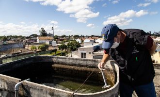 Combate ao mosquito aedes aegypti tem ações educativas