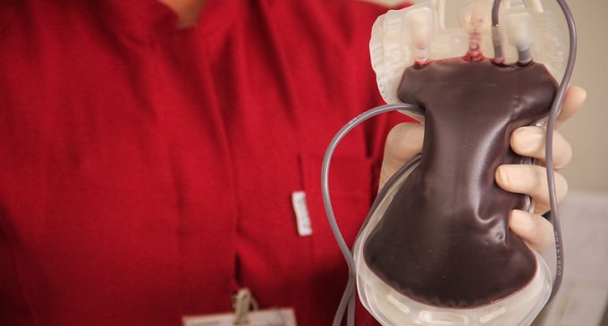 HemoPel prepara a Semana do Doador de Sangue