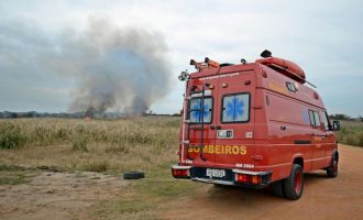 Bombeiros alertam para risco alto de incêndio em vegetação