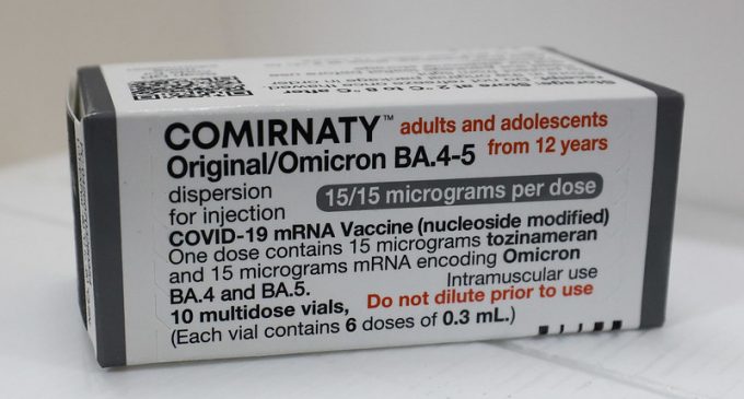 Doses bivalentes contra a covid-19 serão enviadas nesta sexta-feira aos municípios