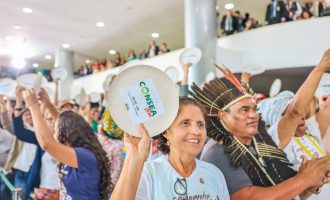 Pediatra da UCPel, Regina Nogueira, integra o órgão responsável por prestar recomendações diretas ao Presidente da República