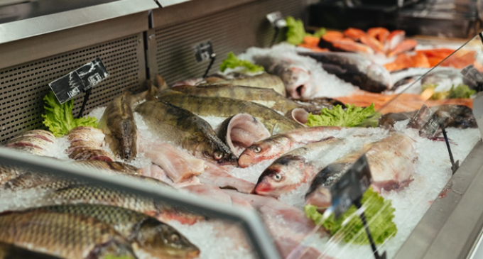 Sexta-feira Santa chegando: saiba como escolher corretamente o seu peixe