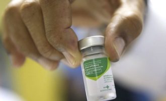 Campanha de vacinação contra a gripe influenza começa na segunda-feira (10)