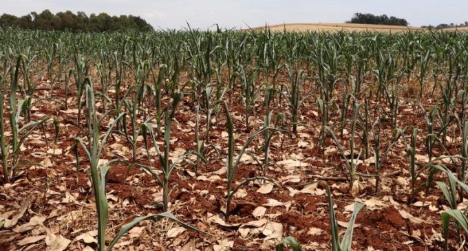 Fórum de Agricultura Familiar da Região Sul debate impactos da estiagem na região