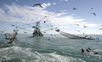 Pesca de arrasto seguirá proibida no RS