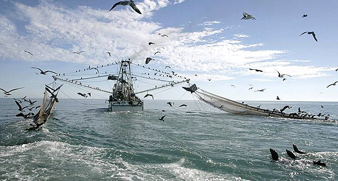 Pesca de arrasto seguirá proibida no RS