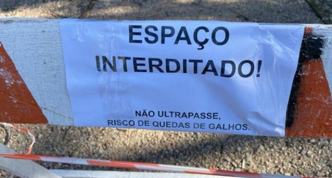 Com risco de queda de galhos, Parque da Baronesa é fechado