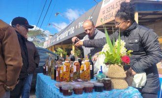 Feira Colonial de domingo no Morro Redondo