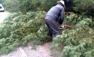 Daer realiza a remoção de árvores caídas nas rodovias do Sul