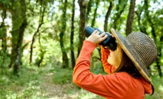 Morro redondo recebe Oficina de Introdução ao Birdwatching