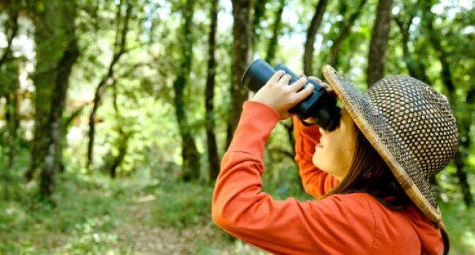 Morro redondo recebe Oficina de Introdução ao Birdwatching