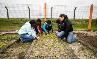 Professora de Pelotas é premiada em concurso do Instituto CCR com projeto inovador de conscientização ambiental