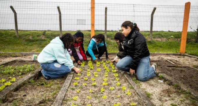 Professora de Pelotas é premiada em concurso do Instituto CCR com projeto inovador de conscientização ambiental