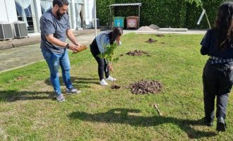 Pelotas Parque Tecnológico planta bosque frutífero com espécies nativas