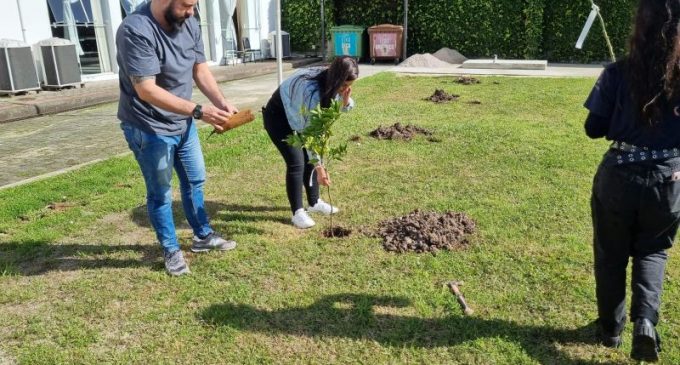 Pelotas Parque Tecnológico planta bosque frutífero com espécies nativas