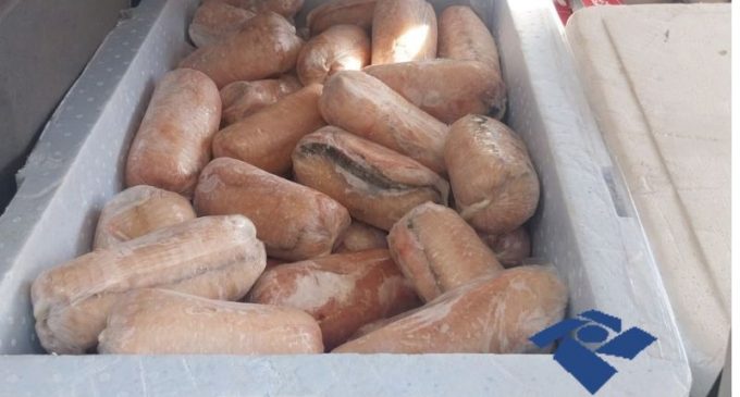 Receita Federal apreende 100 kg de peixe filetado congelado em Pelotas